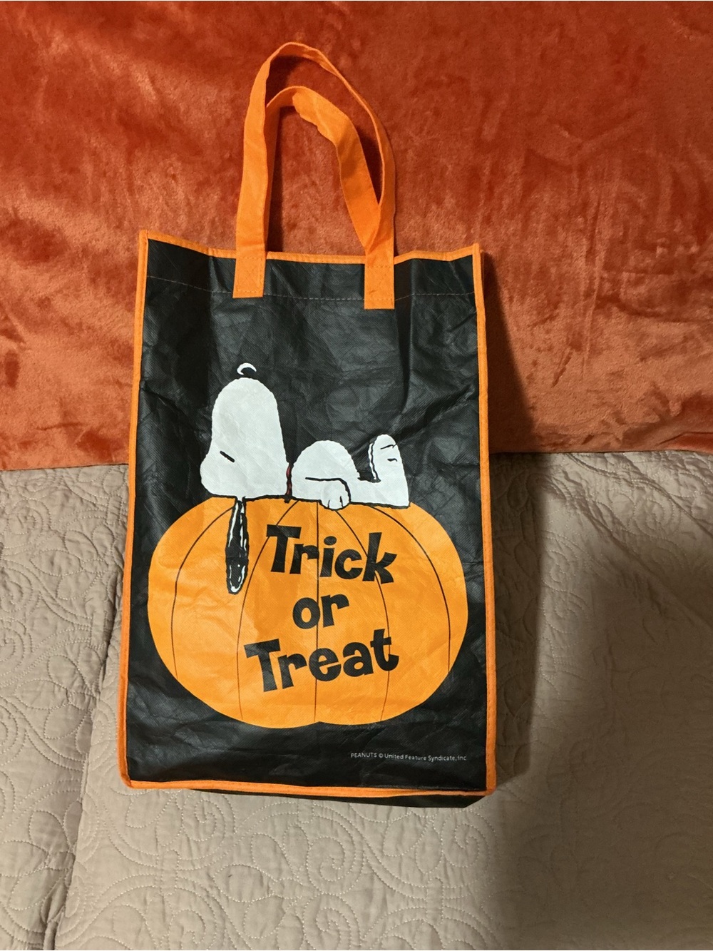 Atico Vintage Peanuts Snoopy Orange & Black 'Trick or Treat' Halloween Tote Bag